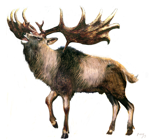 Megaloceros