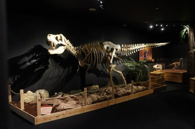 1026261_475431165878664_199130929_o