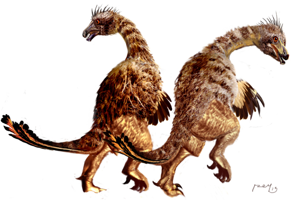 The Rookery Detal 8B