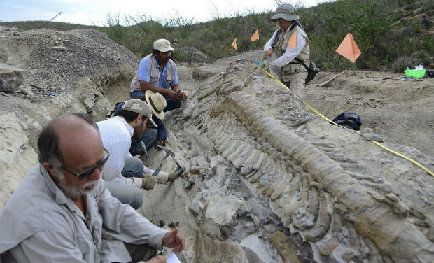 CORRECTION_Mexico_Dinosaur_Tail__systems@deccanmail