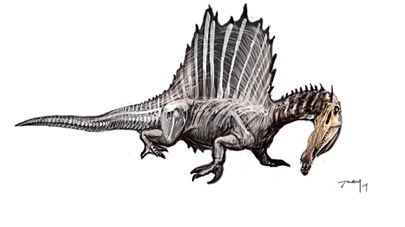 Spinosaurus Walrus SKB