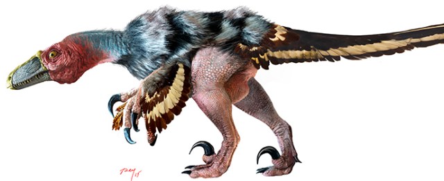 Deinonychus B