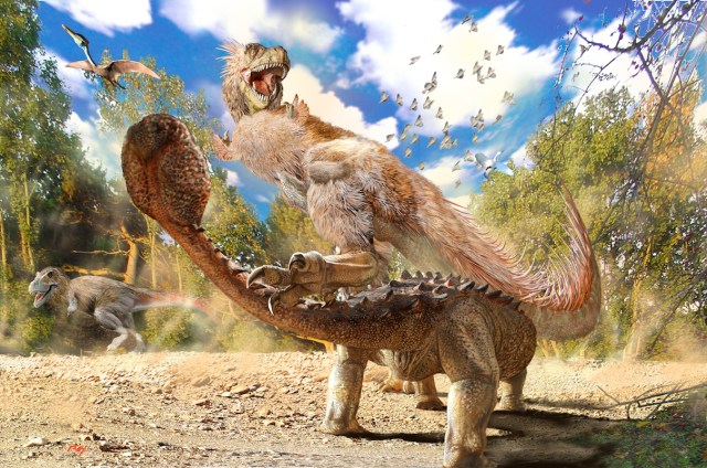 Tarbo TalarurusF copy