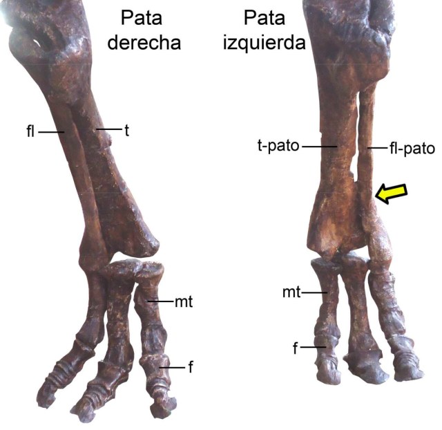 Microsoft Word - TESIS MAESTRÍA COMPLETO 8