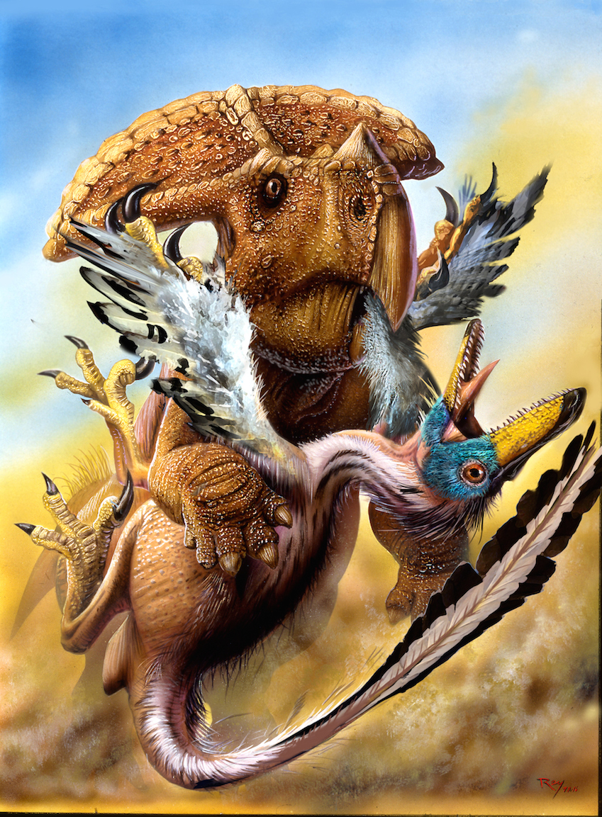 protoceratops-vs-velociraptor-rev-copy