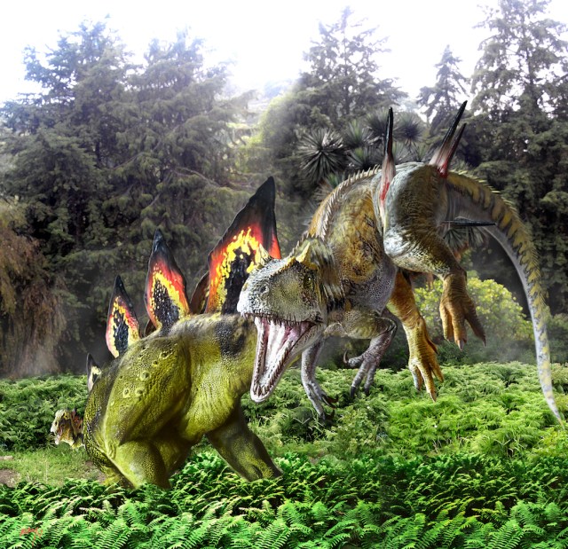 Allo-Steg wound project copy