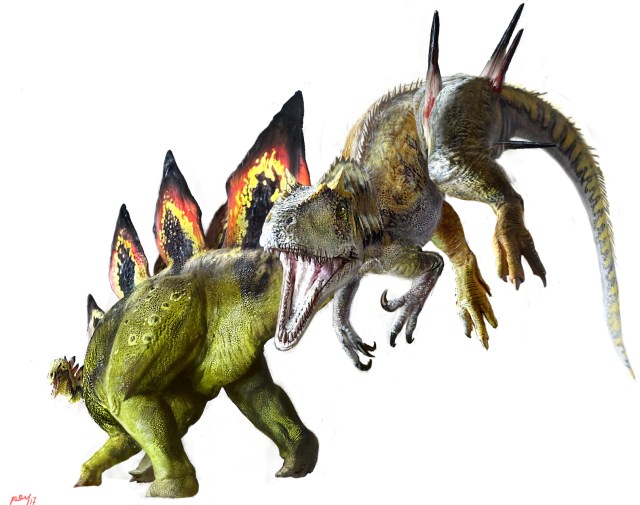 Allo-Steg wound project2 copy