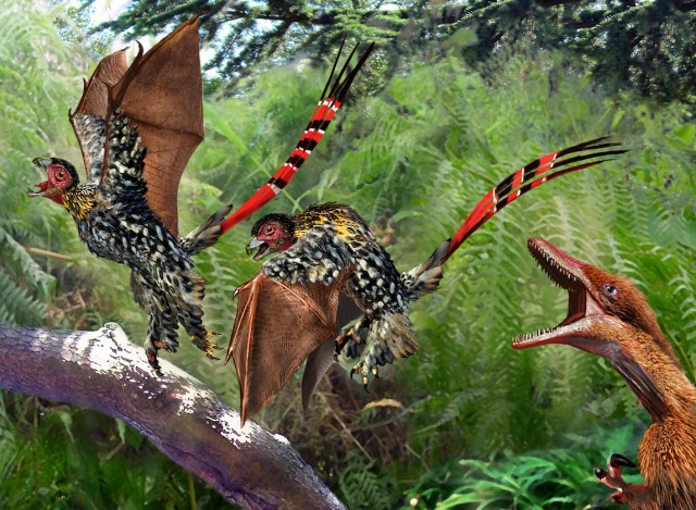 Yi Qi and Sinosauropteryx New copy2