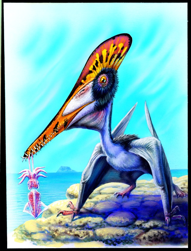 Pterodactylus.jpg