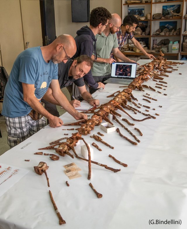 95174322_10222463399003407_7953047906154446848_o